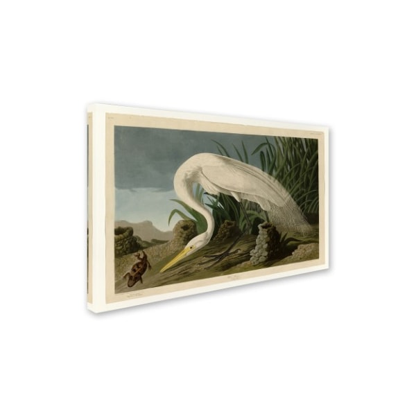 Audubon 'White Heronplate 386' Canvas Art,16x24
